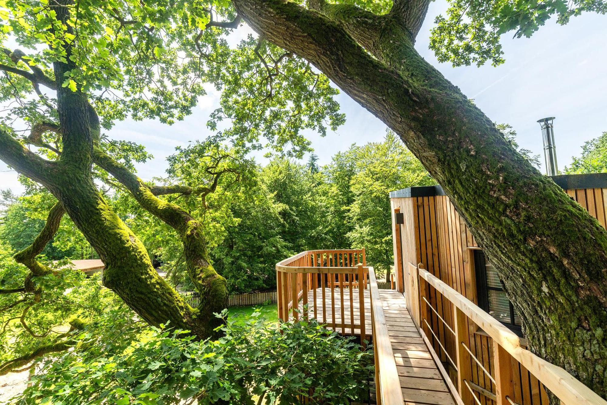 Heide Ferien - Hof Bockelmann Leilighet Bispingen Rom bilde