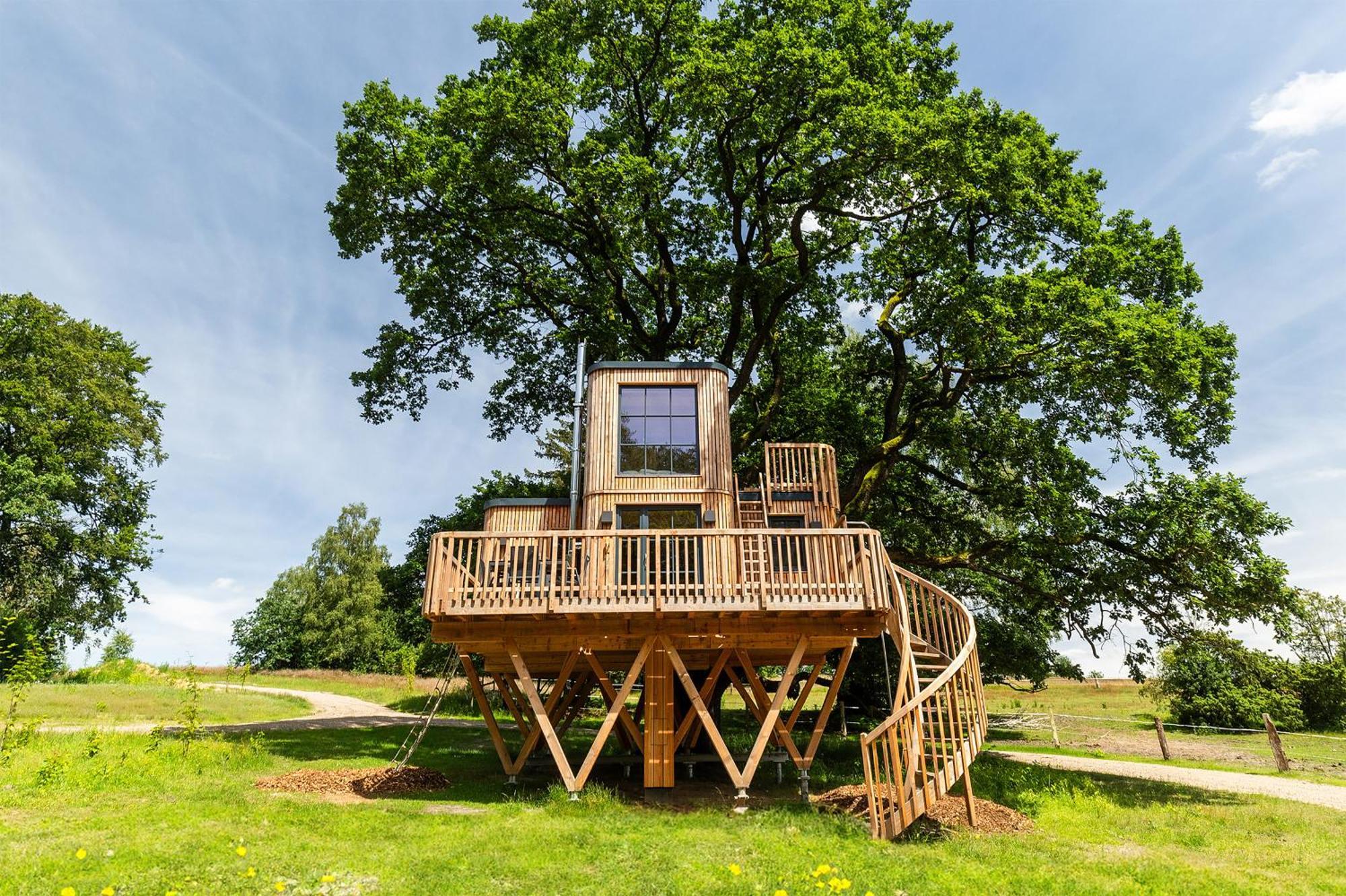 Heide Ferien - Hof Bockelmann Leilighet Bispingen Rom bilde