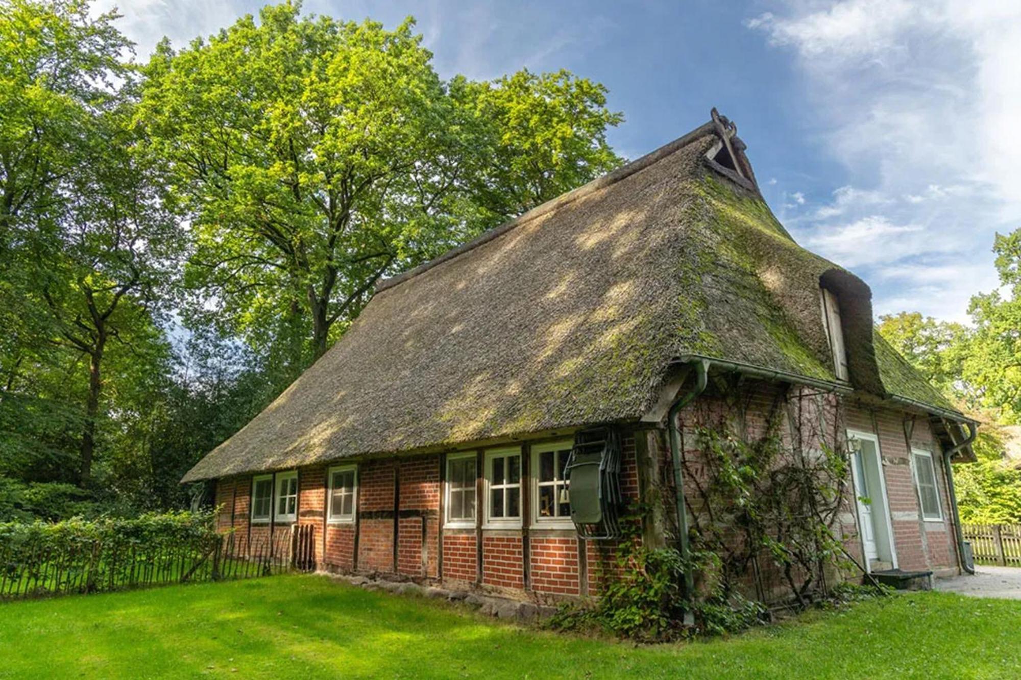 Heide Ferien - Hof Bockelmann Leilighet Bispingen Rom bilde