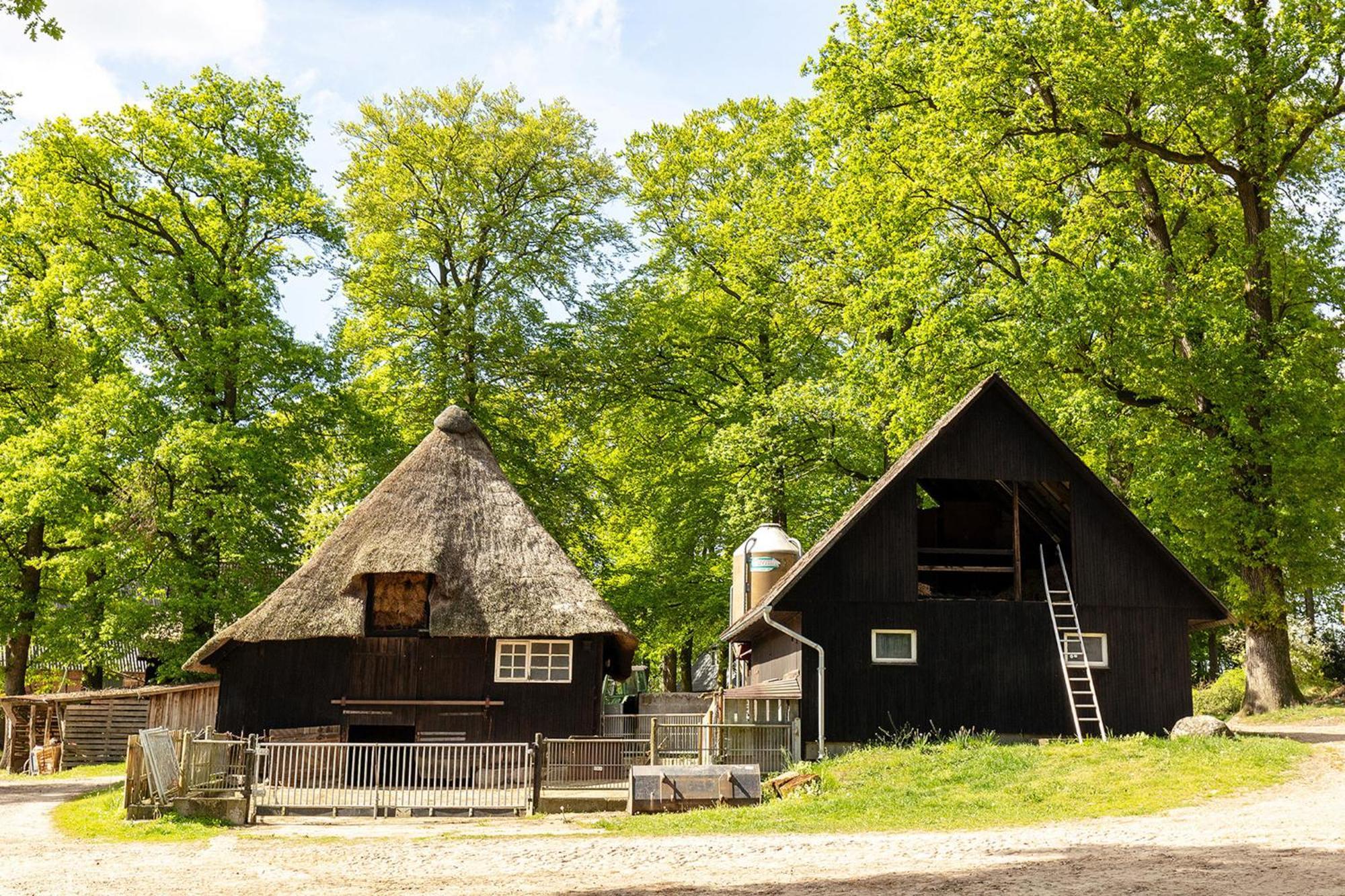 Heide Ferien - Hof Bockelmann Leilighet Bispingen Eksteriør bilde