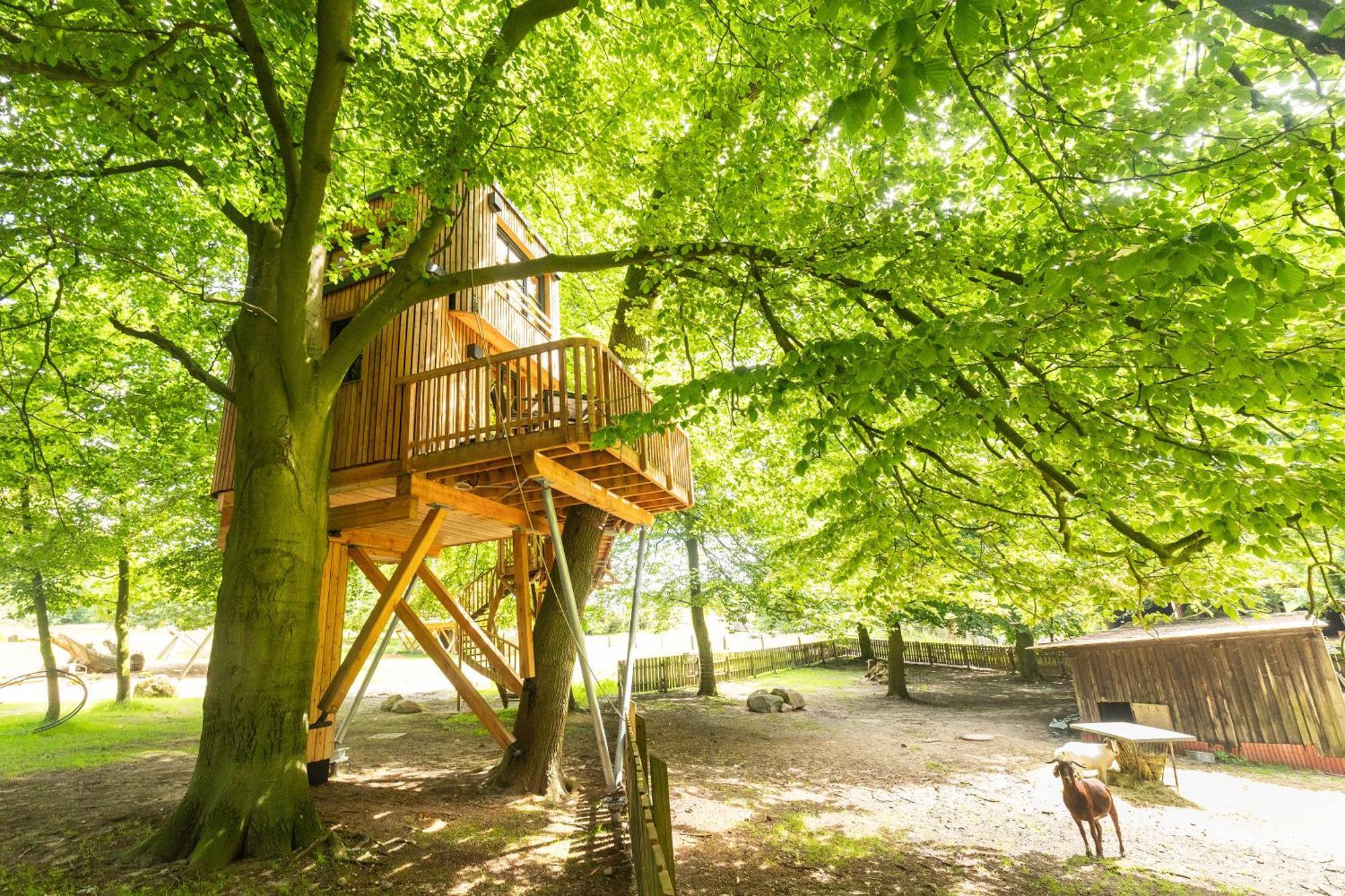 Heide Ferien - Hof Bockelmann Leilighet Bispingen Rom bilde