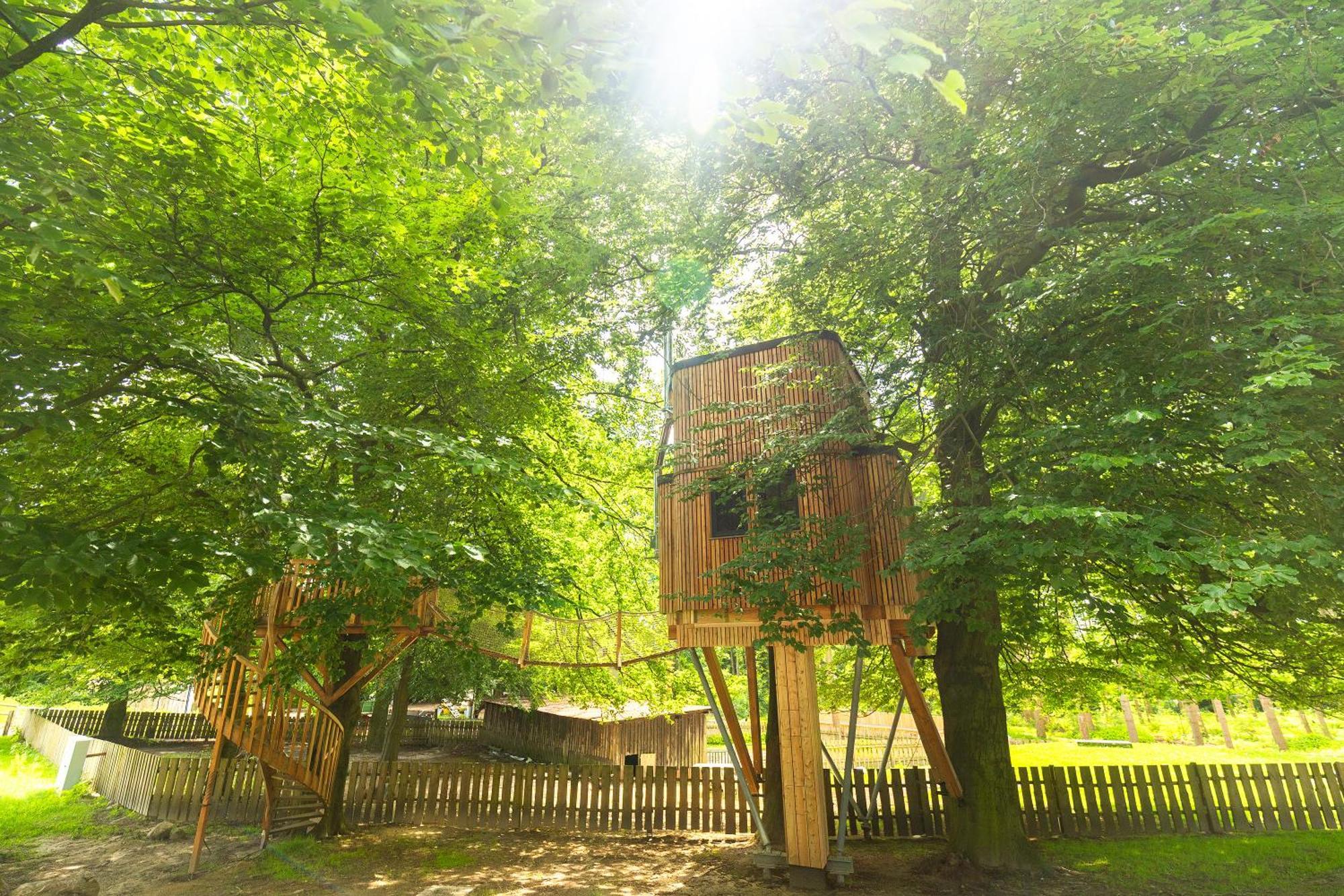 Heide Ferien - Hof Bockelmann Leilighet Bispingen Rom bilde